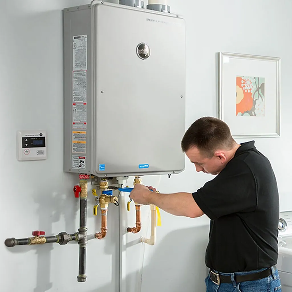 tankless water heater repair in Triumph, IL